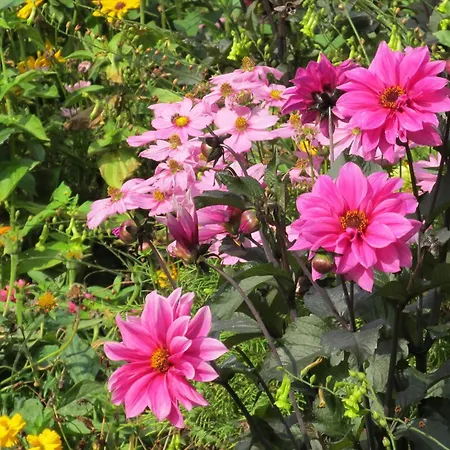 Nahe Badesee Langlingen