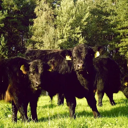 Nahe Badesee Semesterbostad *