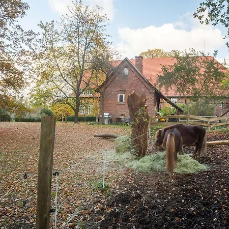Holiday home Historic Half-timbered Farm In Hohnebostel Langlingen