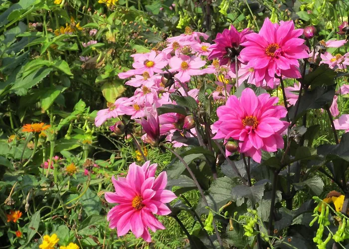 Nahe Badesee Langlingen