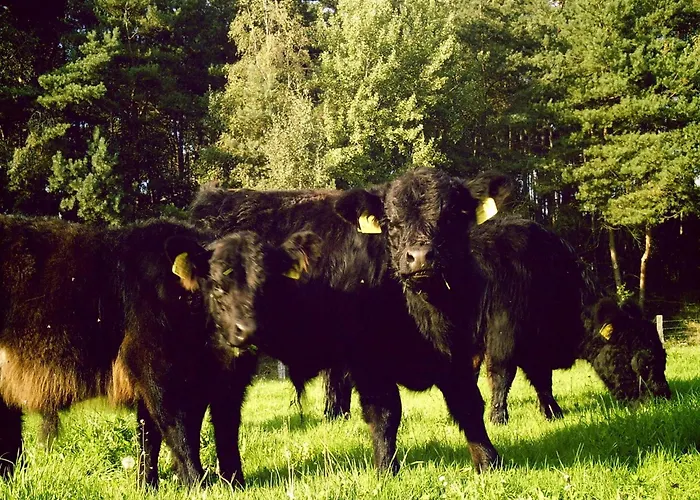 Nahe Badesee Hébergement de vacances *